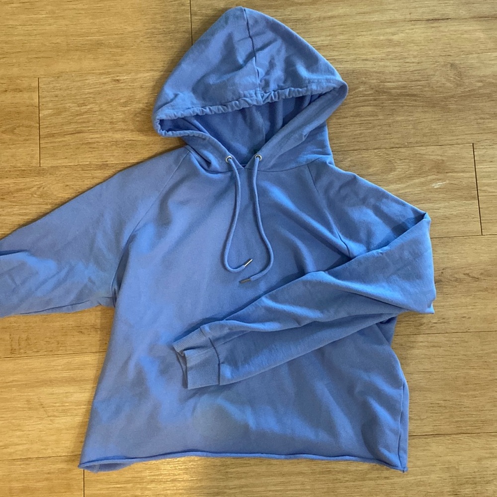 Cropped Blue Sweatshirt